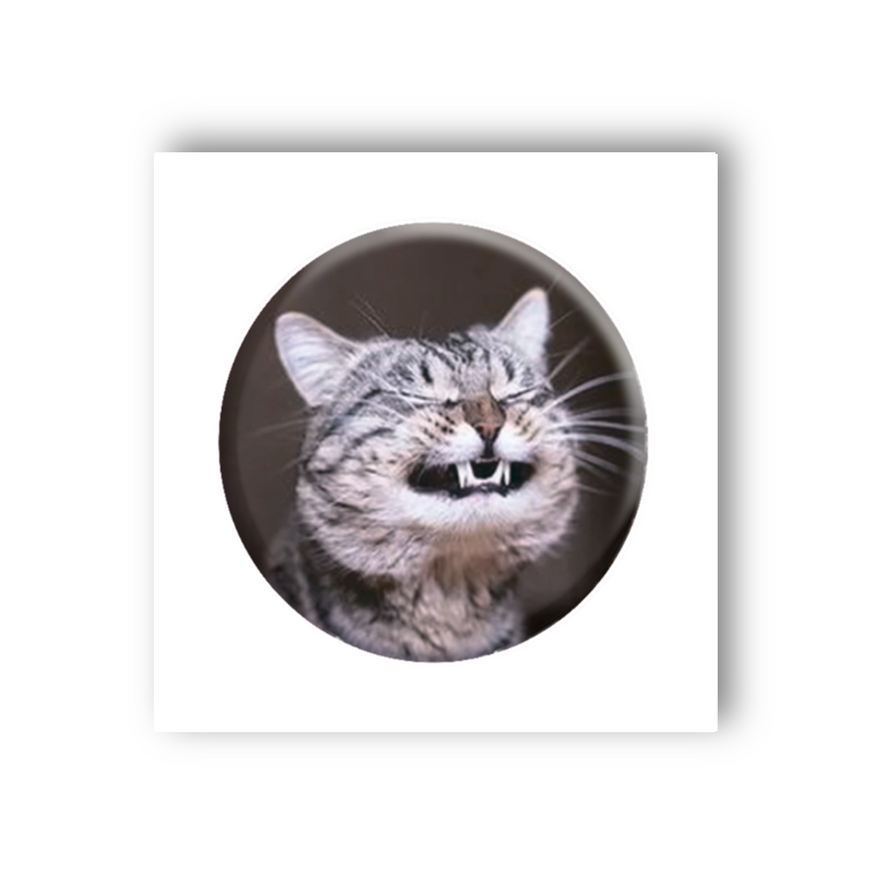 Временное 3D-стикер "Мемасный кот"
