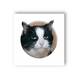 3D-стикер "Мем эмоциональный кот"