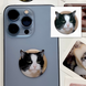 3D-стикер "Мем эмоциональный кот"