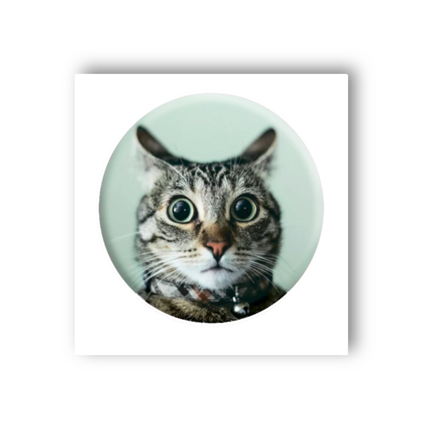 Тимчасове 3D-стікер " Мем здивований кіт"
