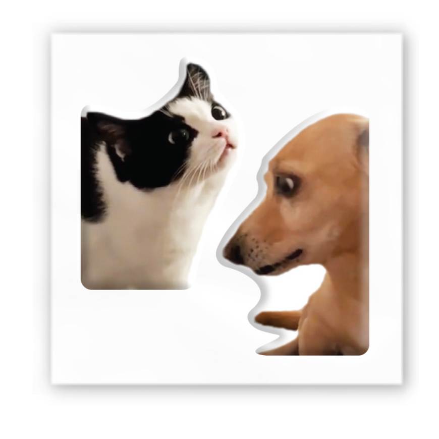 Временное 3D-стикер "Кот і собака мем"