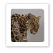 3D-стикер "Wild cat"