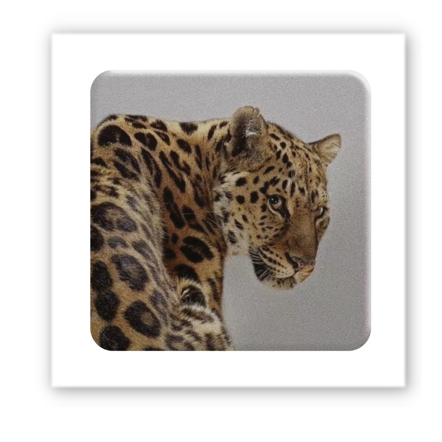 Временное 3D-стикер "Wild cat"