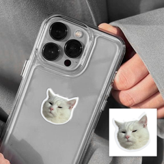 Обʼємний 3D стікер "Serious Cat"