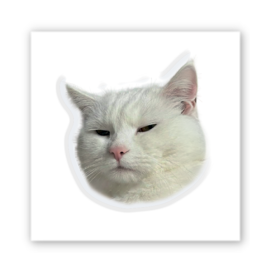 Обʼємний 3D стікер "Serious Cat"