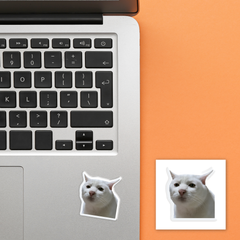 3D наклейка на телефон "Cat Meme"
