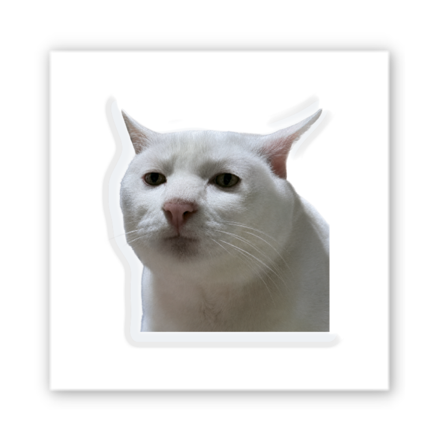 3D наклейка на телефон "Cat Meme"