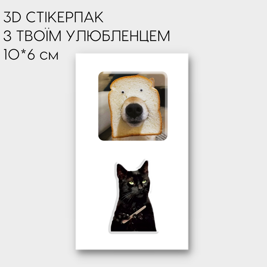 Сет об'ємних стікерів з твоїм улюбленцем 10x6 см (2-3 стікера )