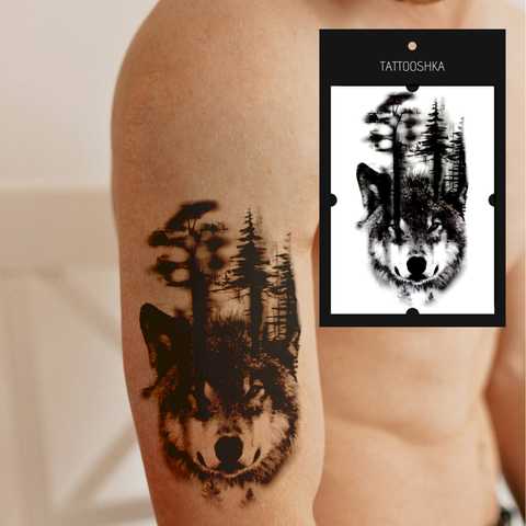 Татуировки Животные от DJECO за руб. Купить в официальном магазине DJECO