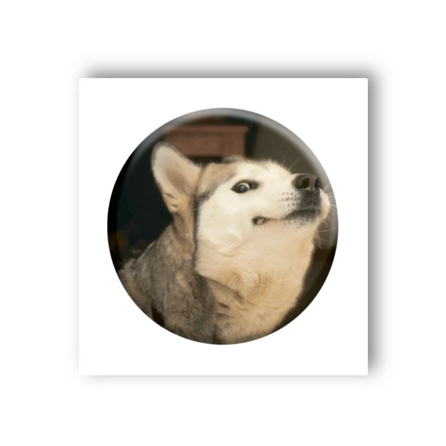 Временное 3D-стикер "Мем собака улыбается"
