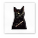 3D-стикер "Чёрний кот мем"