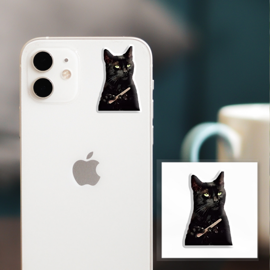 Временное 3D-стикер "Чёрний кот мем"