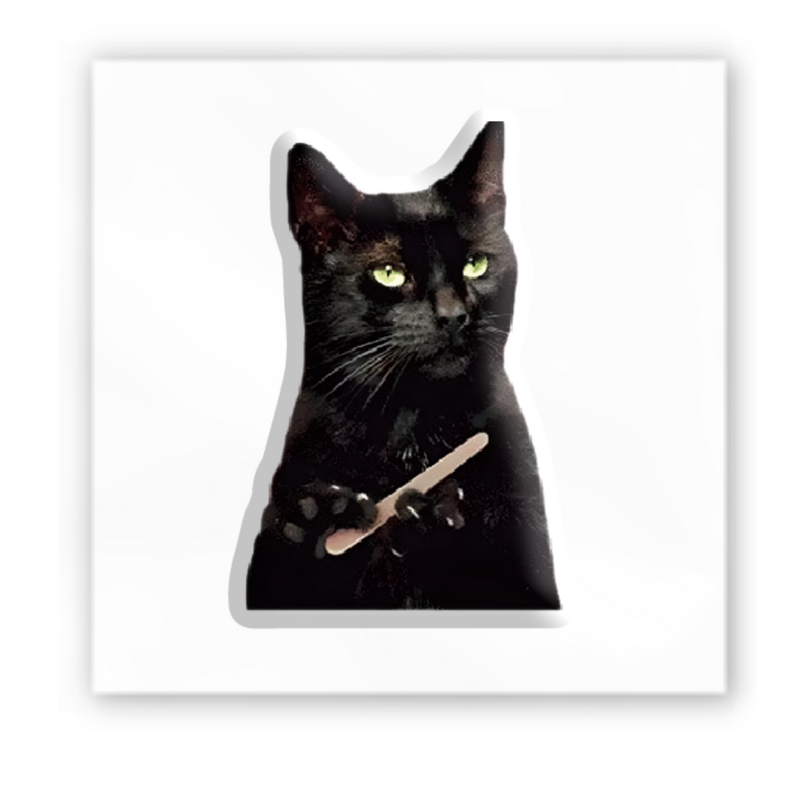 Временное 3D-стикер "Чёрний кот мем"