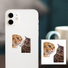 Временное 3D-стикер "Коты мемы"