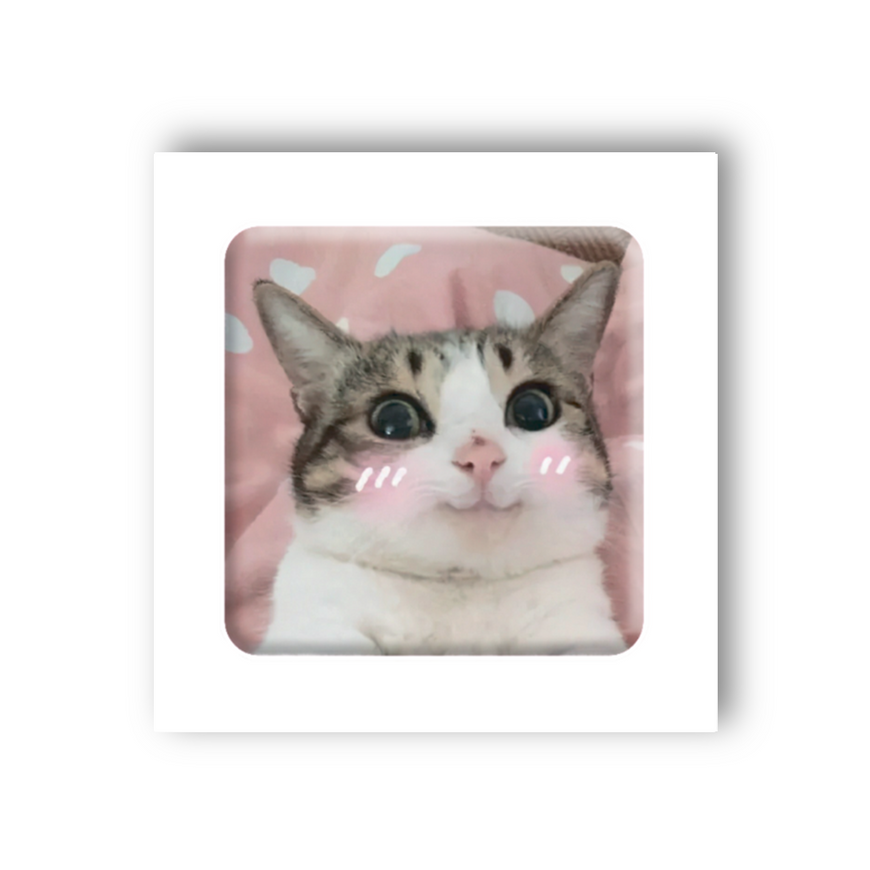Тимчасове 3D-стікер "Мем милий котик"