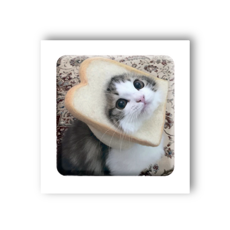 Временное 3D-стикер "Мем смешной кот"