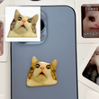 3D-стікер "Мем здивований котик"