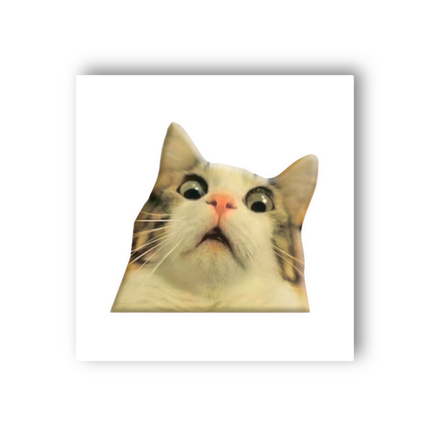 Временное 3D-стикер "Мем удивленный котик"
