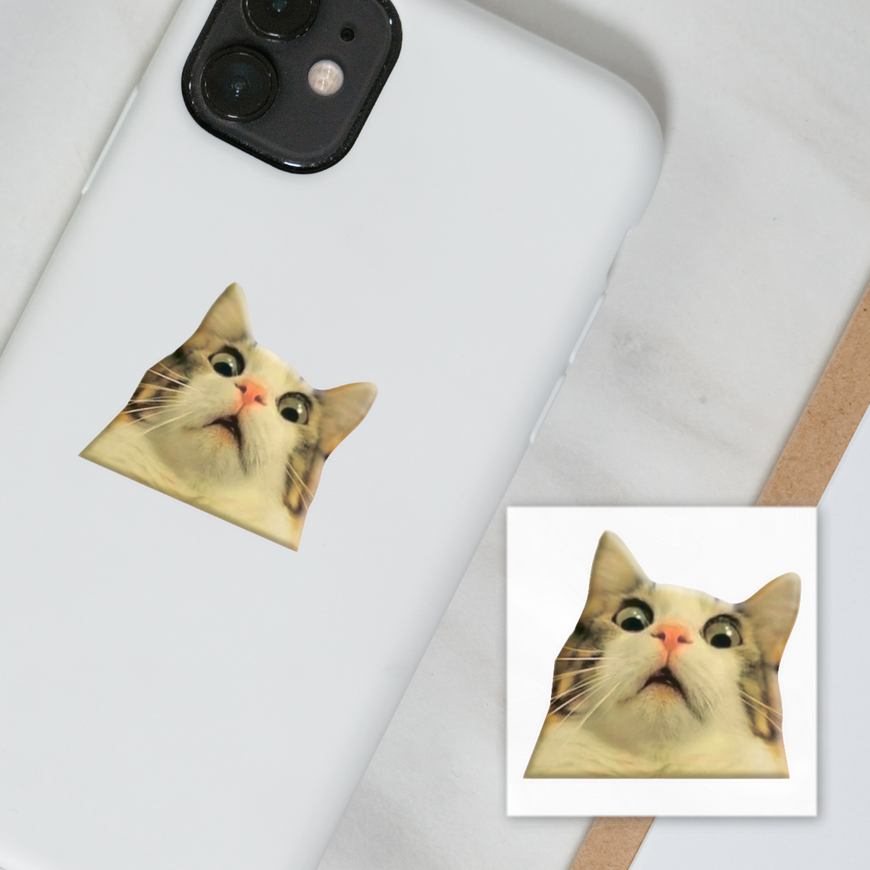 Тимчасове 3D-стікер "Мем здивований котик"